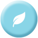 NON-TOXIC Button